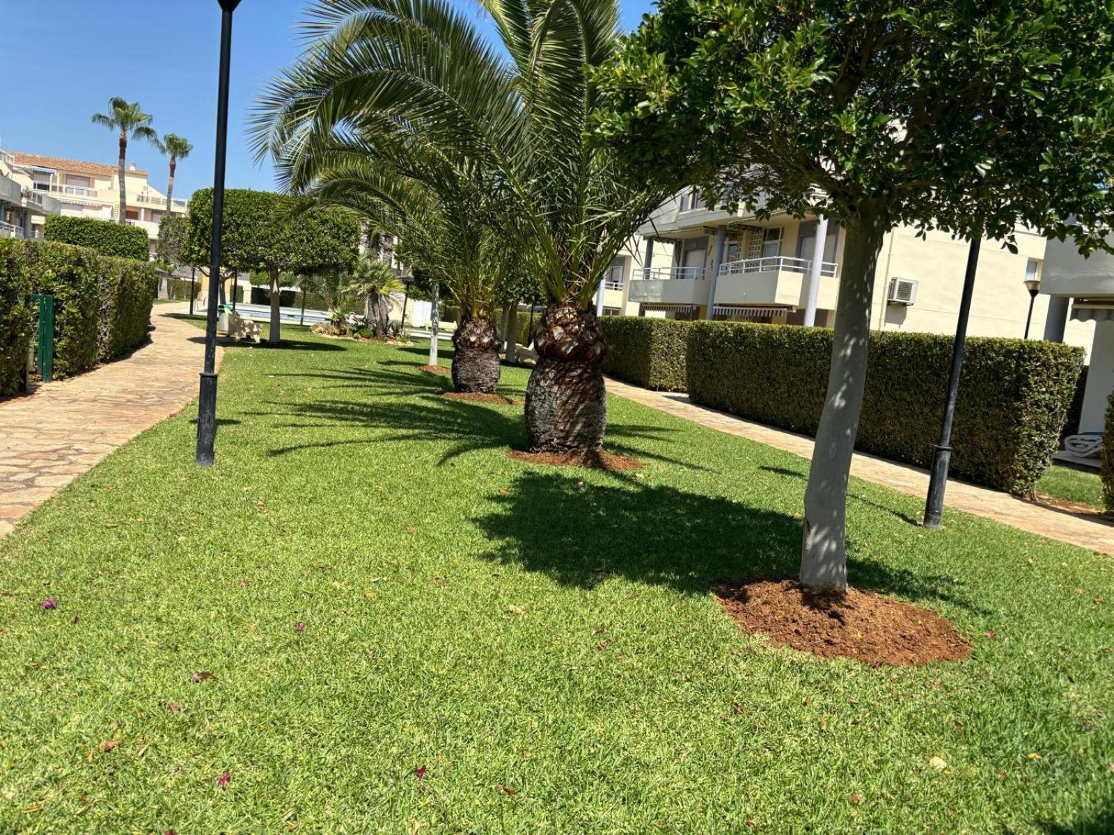 181 Jardines De * Dénia